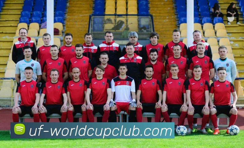 亚洲体育博彩平台平台生态图